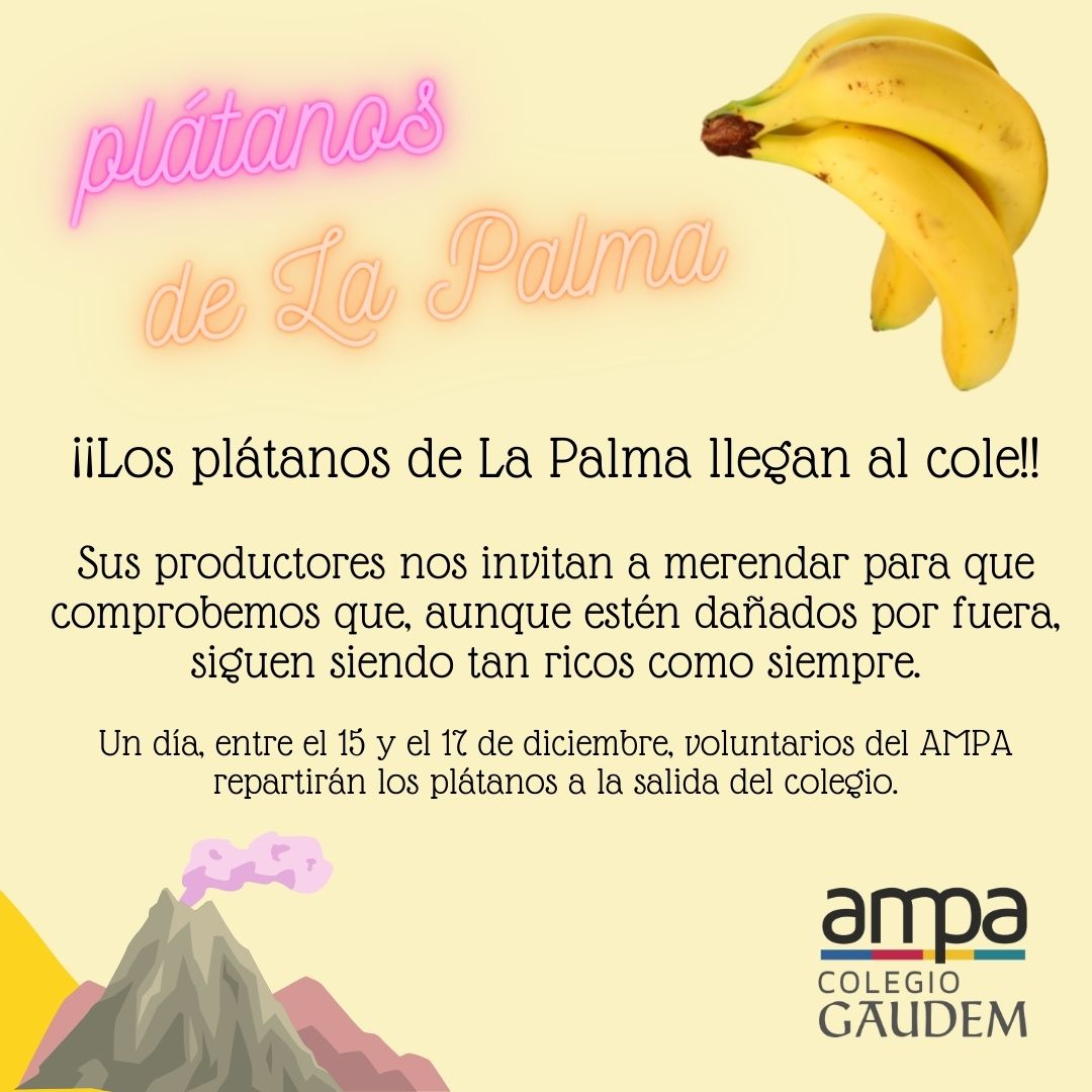 AMPAGAUDEM's tweet photo. ¡Prueba los plátanos del La Palma! Un día, entre el 15 y el 17 dic., repartiremos plátanos de COSEPAL (cosecheros de La Palma) para comprobar que, aunque feos por fuera, siguen tan ricos como siempre. #platanosdelapalma #volcan https://t.co/ow8dFHJuUE