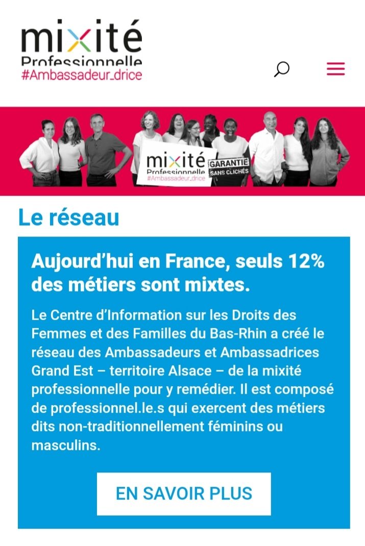 [Site internet] 

En cette fin d'année, nous sommes en pleine refonte de notre site internet de la #mixiteprofessionnelle. 
De nouveaux.elles ambassadeurs.rices ont intégré le réseau durant l'année 2021 et leurs profils vont paraître. 

🔜  mixitepro.com