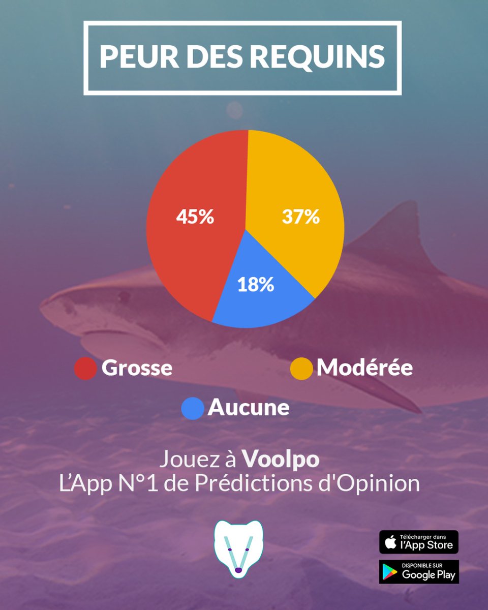 Voolpofrance's tweet photo. Les gens qui ont #peur des #requins
#Grosse peur: 45%
Peur #modérée: 37%
#Aucune peur: 18%

#voolpofr #voolposurveyfr #requin #requinblanc #requinbaleine #requinmarteau https://t.co/nSgrbWyknR