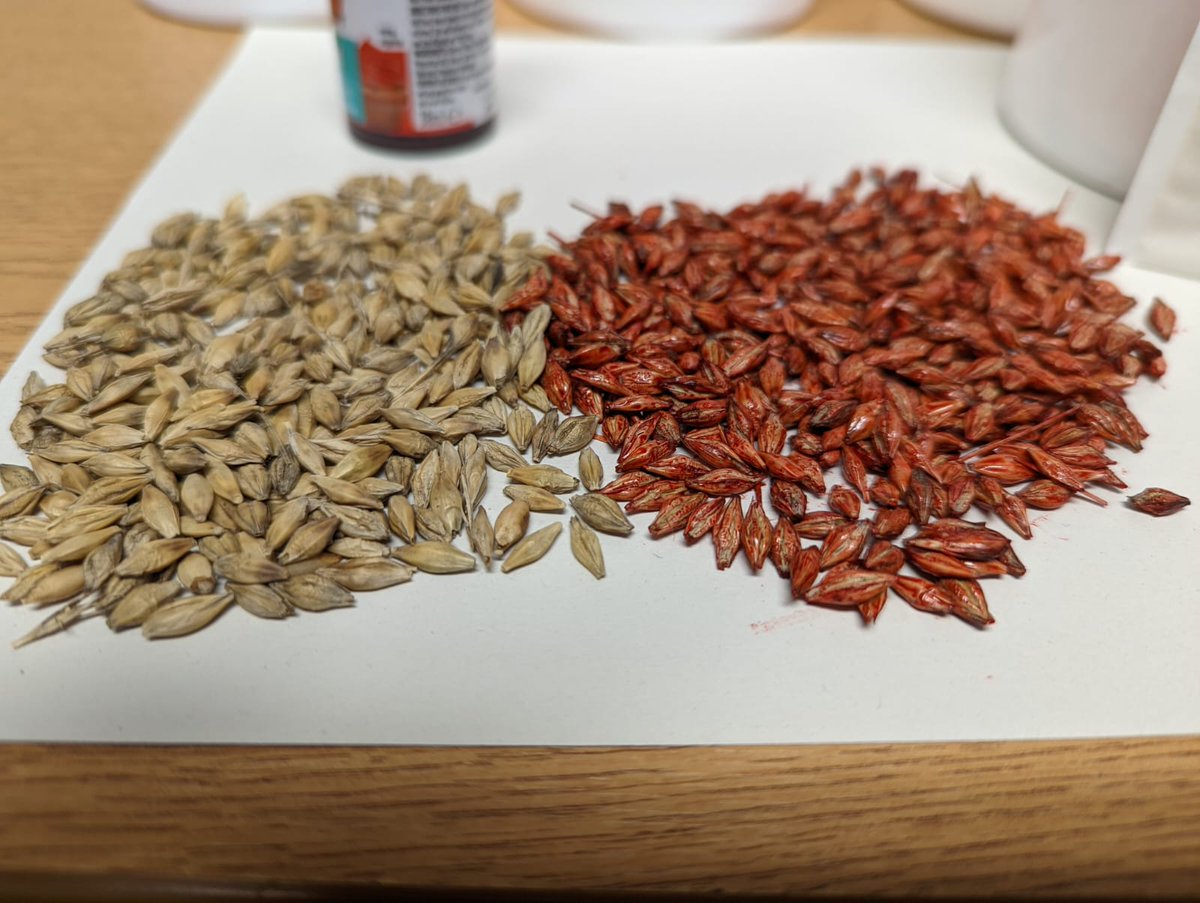 Dr Grace Milburn tweet media