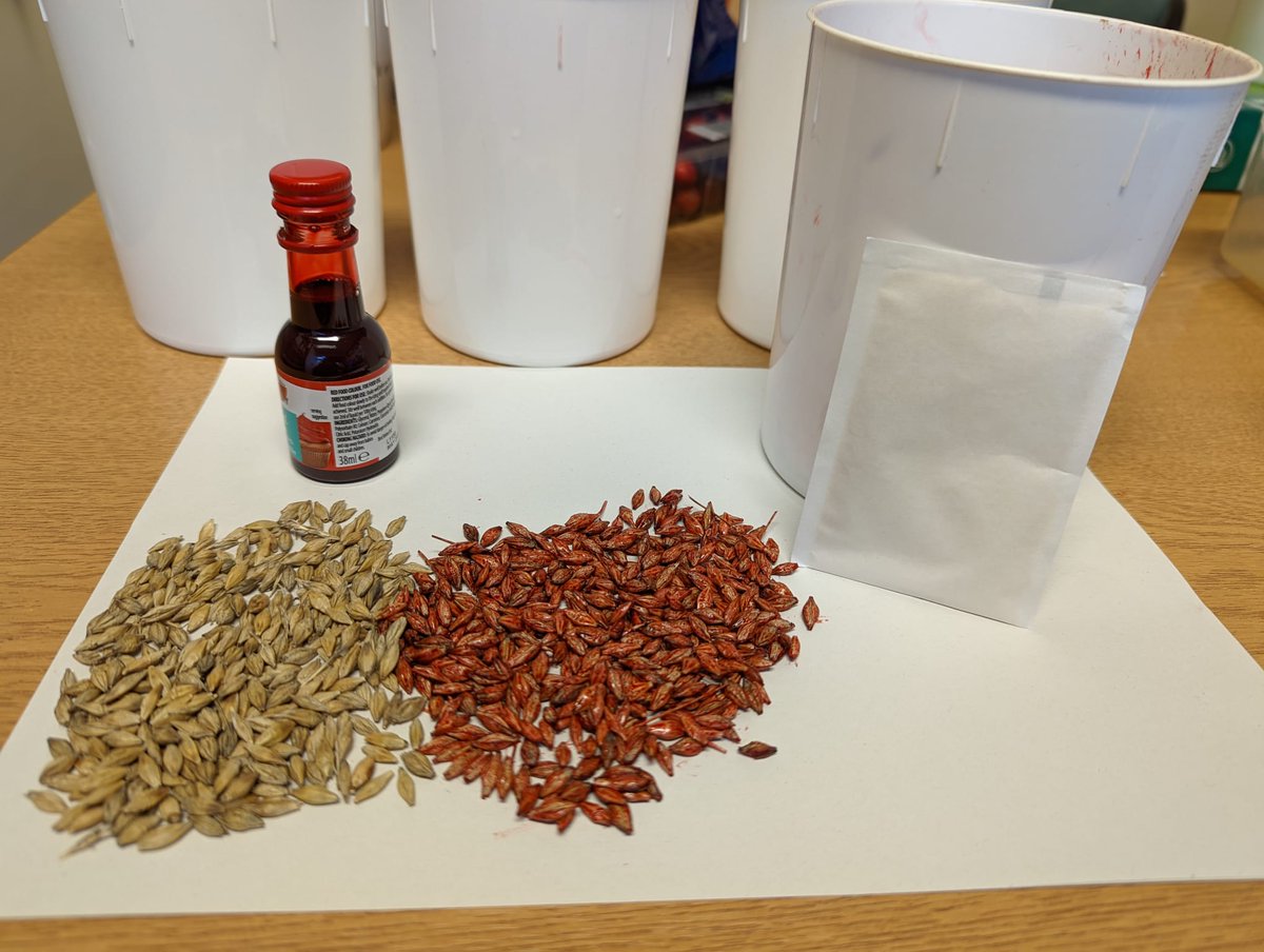 Dr Grace Milburn tweet media