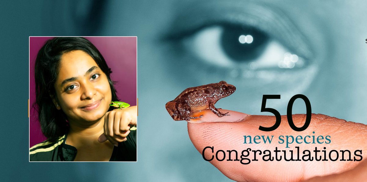 SDBiju1's tweet photo. Proud moment as a mentor: Dr. Sonali Garg has described 50 #new species of #frogs - the first Indian #women to achieve this distinction. Sonali is moving to #MCZ Harvard University for her Postdoc research. congratulations and best wishes. https://t.co/mwuSzuIJx0