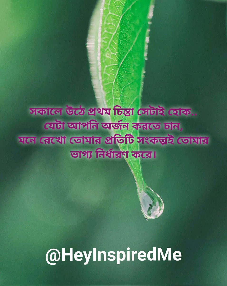 HeyInspiredMe's tweet photo. সকালে উঠে প্রথম চিন্তা সেটাই হোক.....  🥰

#motivation #fitness #inspiration #love #life #lifestyle #motivationalquotes #instagood #quotes #success #workout #instagram #gym #goals #mindset #positivevibes #fitnessmotivation #happy #fit #follow #inspirationalquotes #bhfyp https://t.co/V9zJjHZyEa