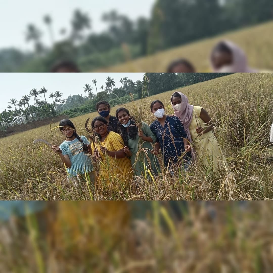 Adv. M Anilkumar tweet media