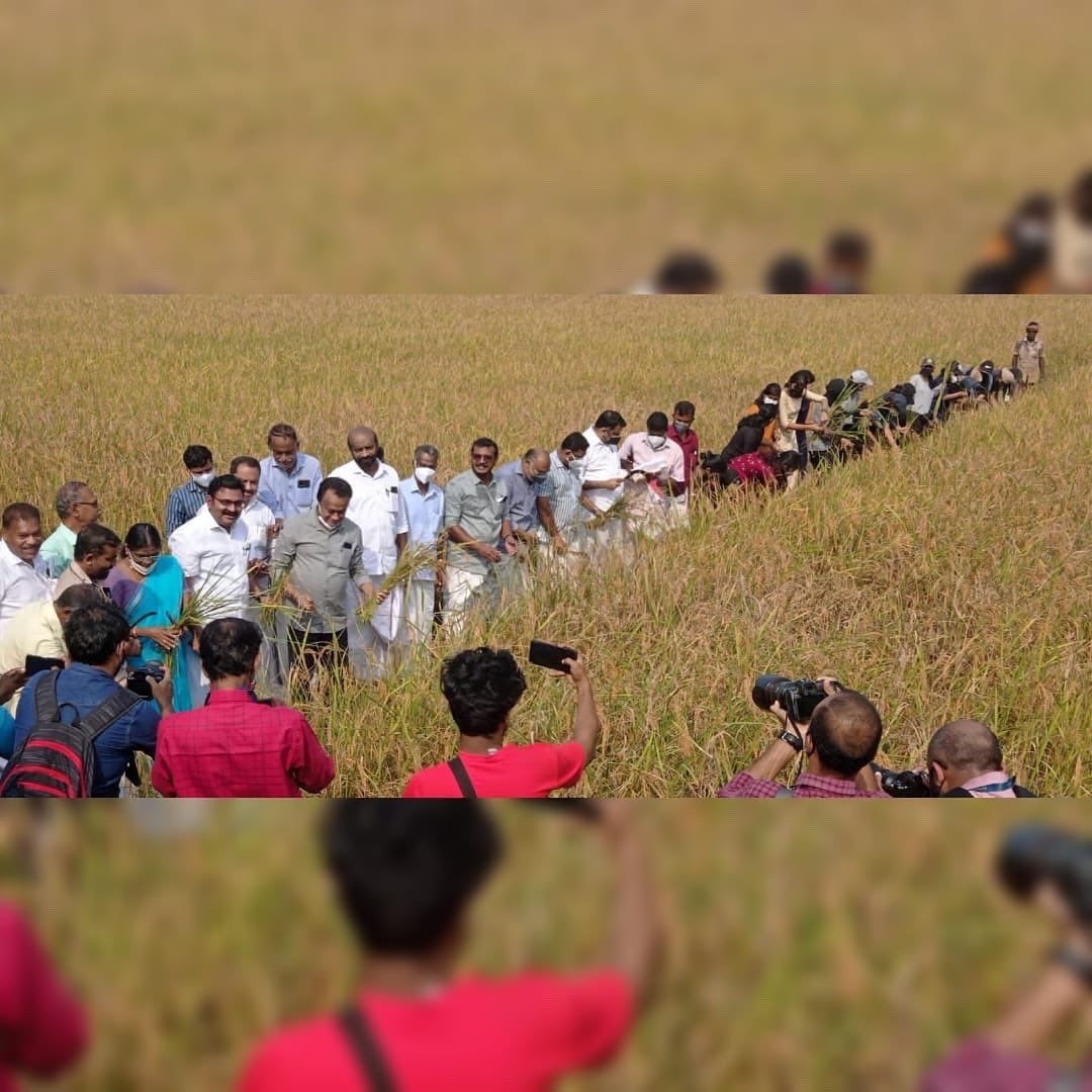 Adv. M Anilkumar tweet media