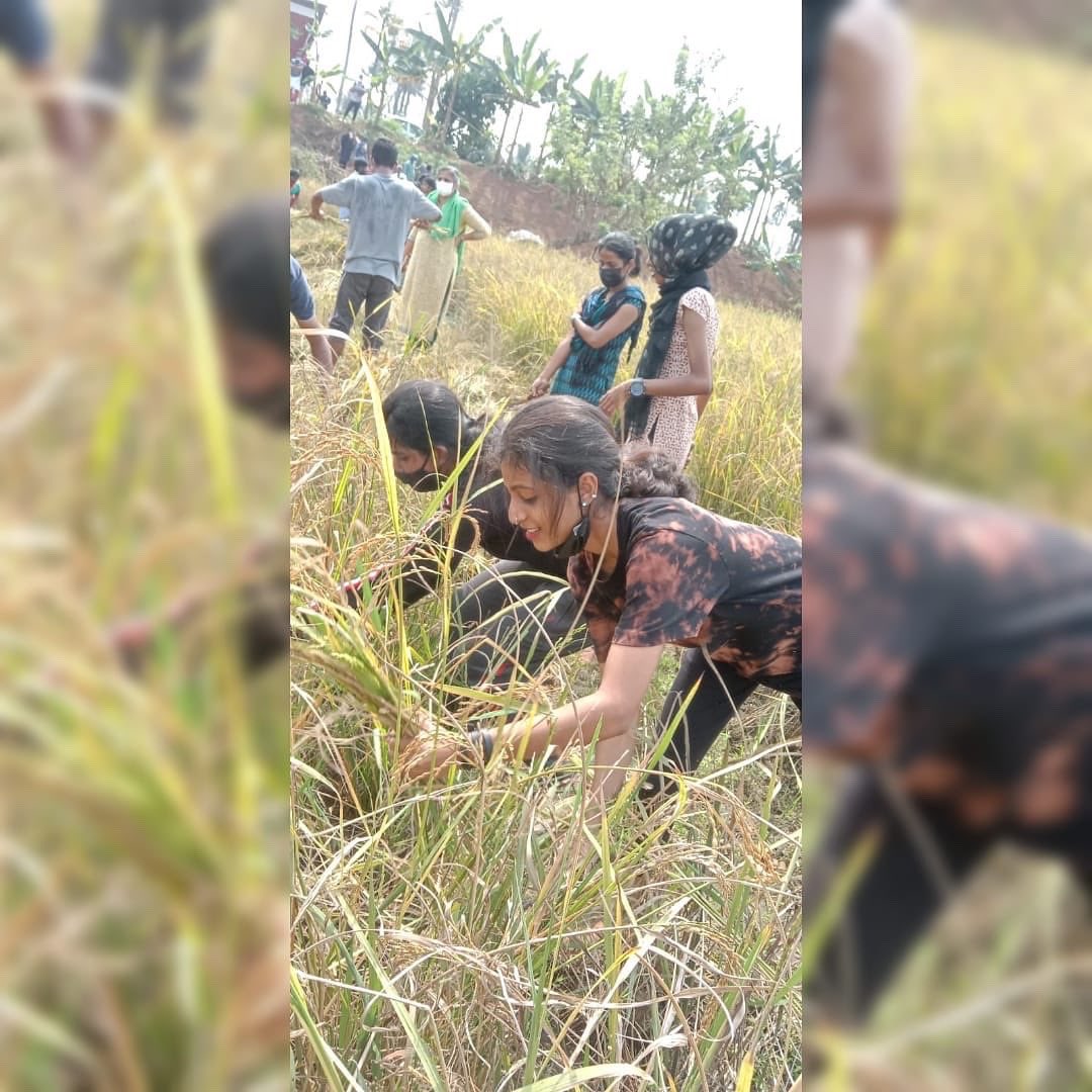 Adv. M Anilkumar tweet media