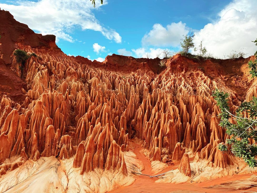 IleMadagascar's tweet photo. Red Tsingy are beautiful, especially when they are illuminated by the sunlight. #MyMadagascar #reopen #tourisme #madagascar

📸 umm.meh https://t.co/ul8Ox3piLf