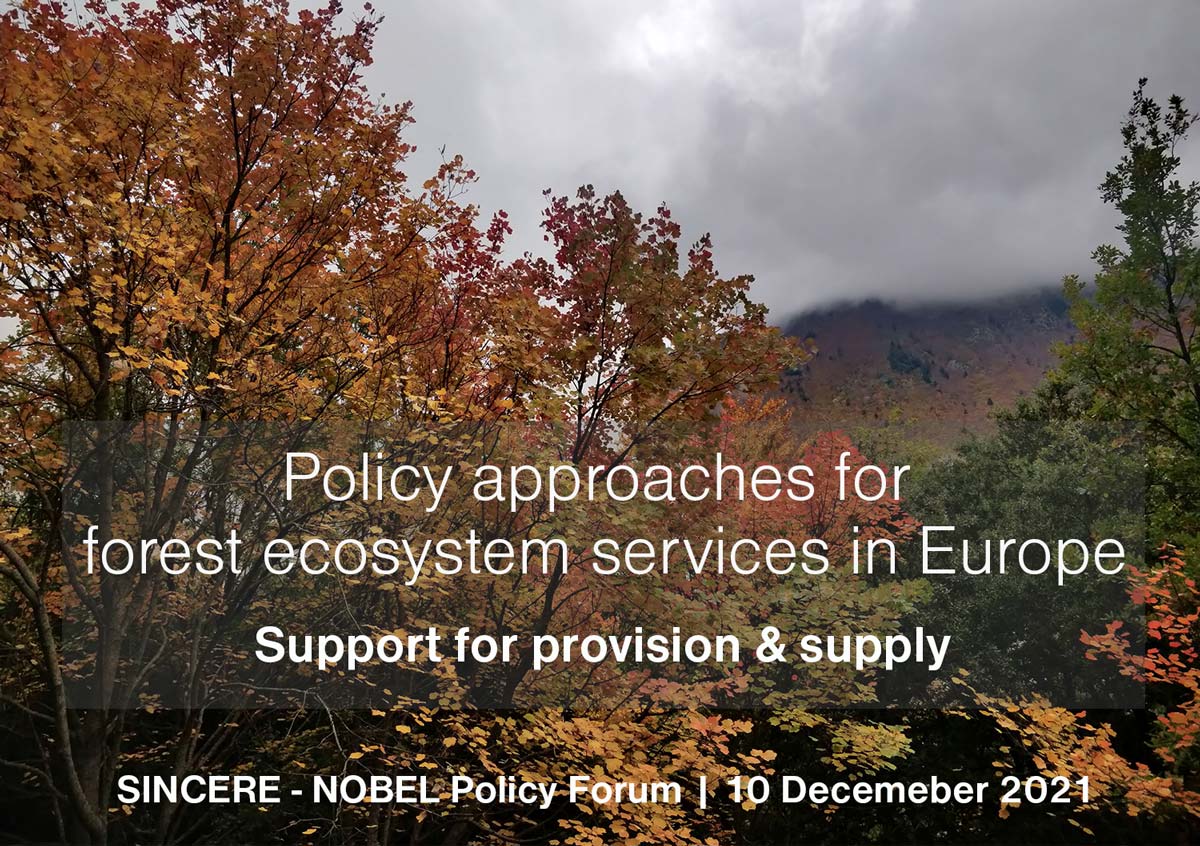 intercede_eu's tweet image. #sincereforests &amp;amp; NOBEL policy forum on pathways to support #forest #ecosystemservices happening now!
Discussion with invited guests from @CEPF_EU  @EUSTAFOR @IUCNBrussels, EU representatives and Member States to reflect and refine the approaches!  More on this to come!
