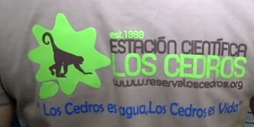 Vía Minera tweet media