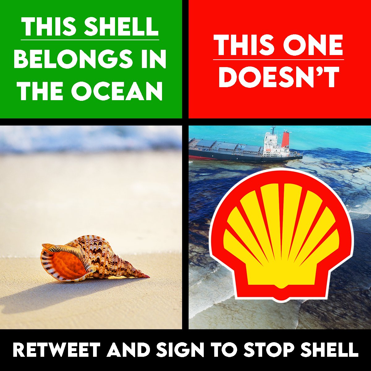 GreenpeaceUK's tweet photo. Some shells belong in the ocean. Others don’t.

Tell the oil giants to stop their destructive testing off the coast of South Africa: https://t.co/Ft4ZPatUGU https://t.co/Ir2Ok4OFs8