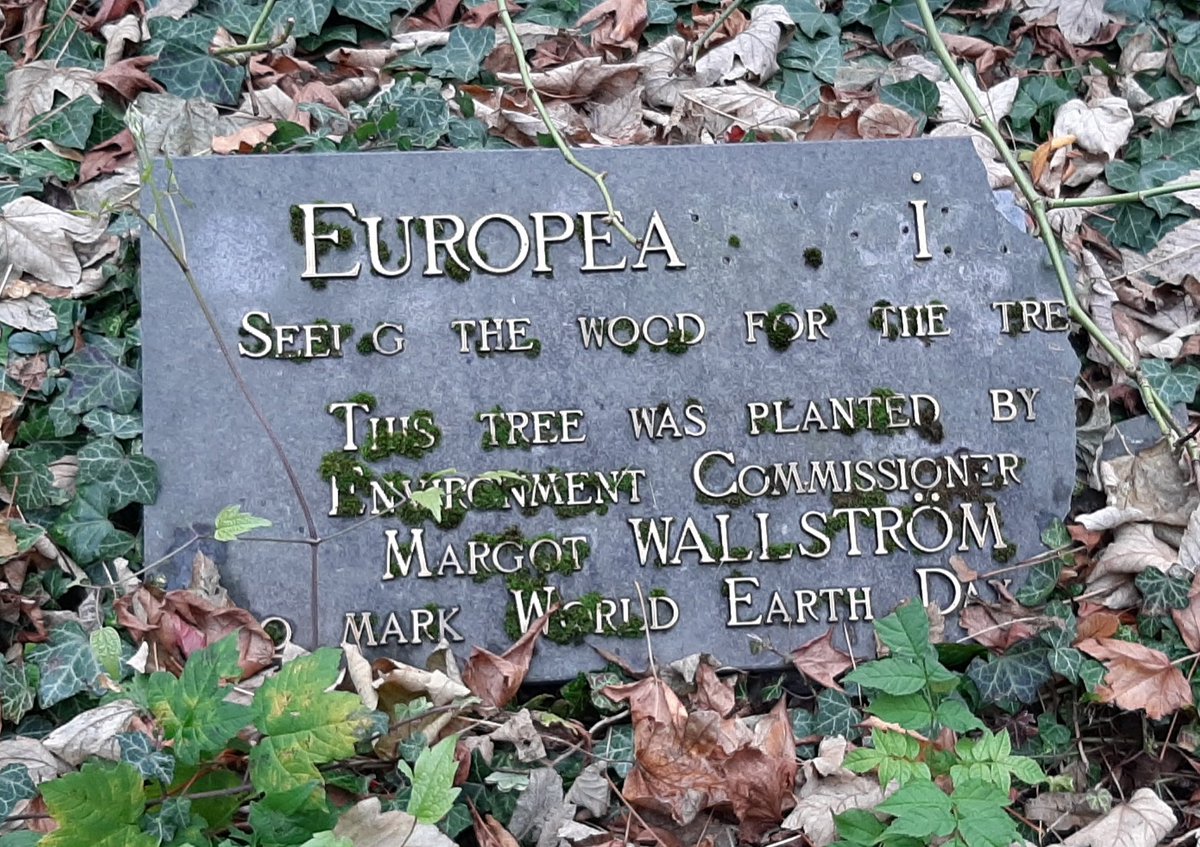 DennisAbbott's tweet photo. In the days before @POLITICOEurope, there was #EuropeanVoice. @margotwallstrom planted a tree & unveiled this plaque by the @Europarl_EN. The tree died, the paper folded & even the plaque's buggered 😬 https://t.co/olbpkkCklF