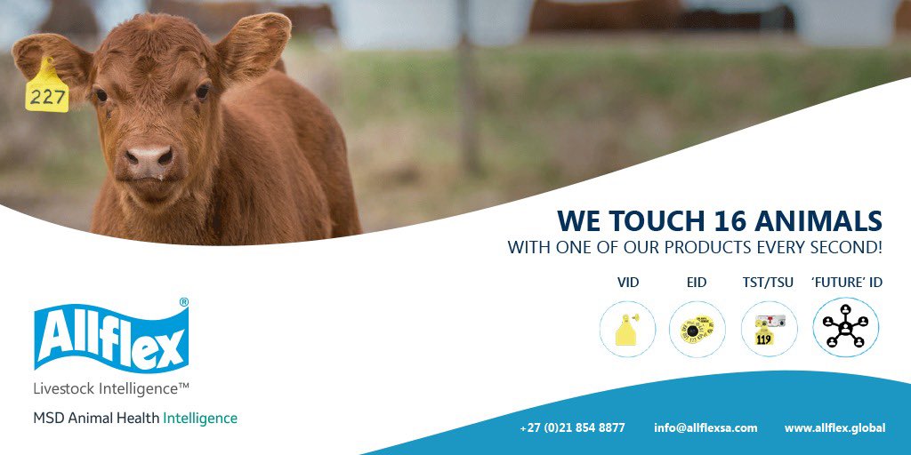 Allflex Livestock Intelligence Sub-Saharan Africa tweet media