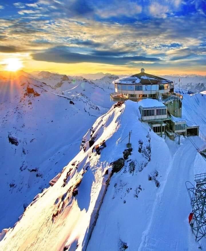 David88_01's tweet photo. #beautiful #NaturePhotography #NatureBeauty https://t.co/7cNhMn5oT6