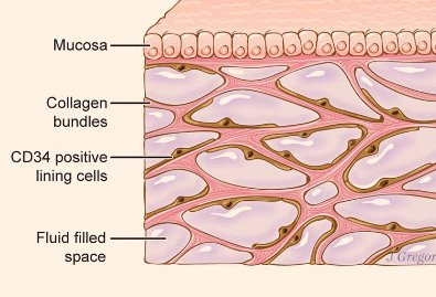 muttslikeme's tweet photo. @Cosmictruth369 #CD34positiveliningcell
#Nucleophilic MudFossil ball https://t.co/WOAkDMZ1ul