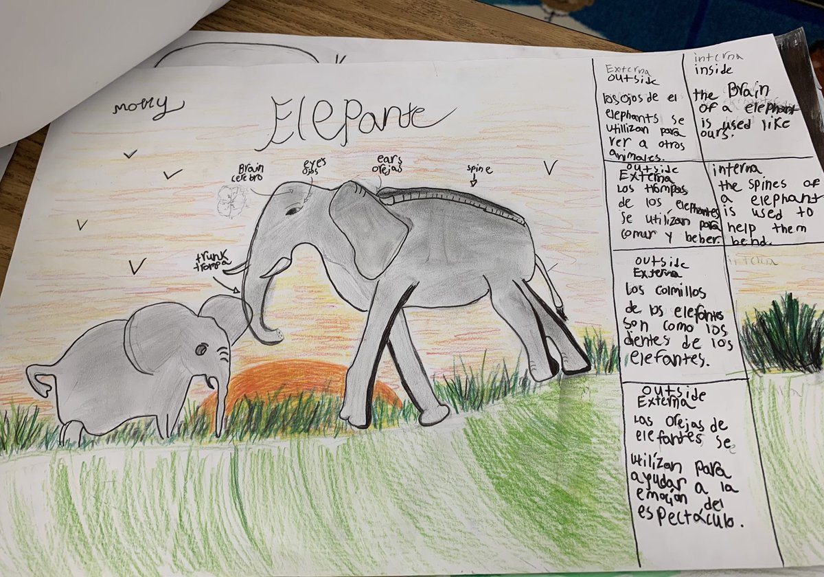 Mallory Fuessle tweet media