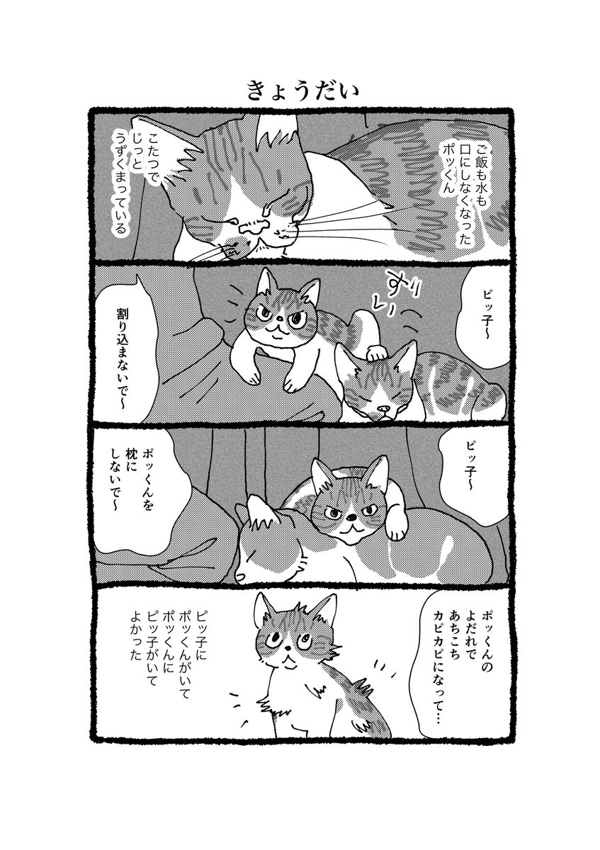 IshideDen's tweet photo. 『きょうだい』

#考える猫遊び https://t.co/GGAd4Ax6LJ