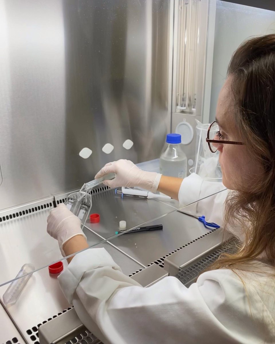 greenprojectpt's tweet photo. We are thrilled to welcome our first GREEN microalgal strains at the Bioelectronics and Bioenergy Lab. We hope they like the cosy conditions we give them in @Aralab culture cabinet.
@Thermoscientific flow chamber
#greenenergy #microalgae #bioelectronics https://t.co/u2bKaIWgM5