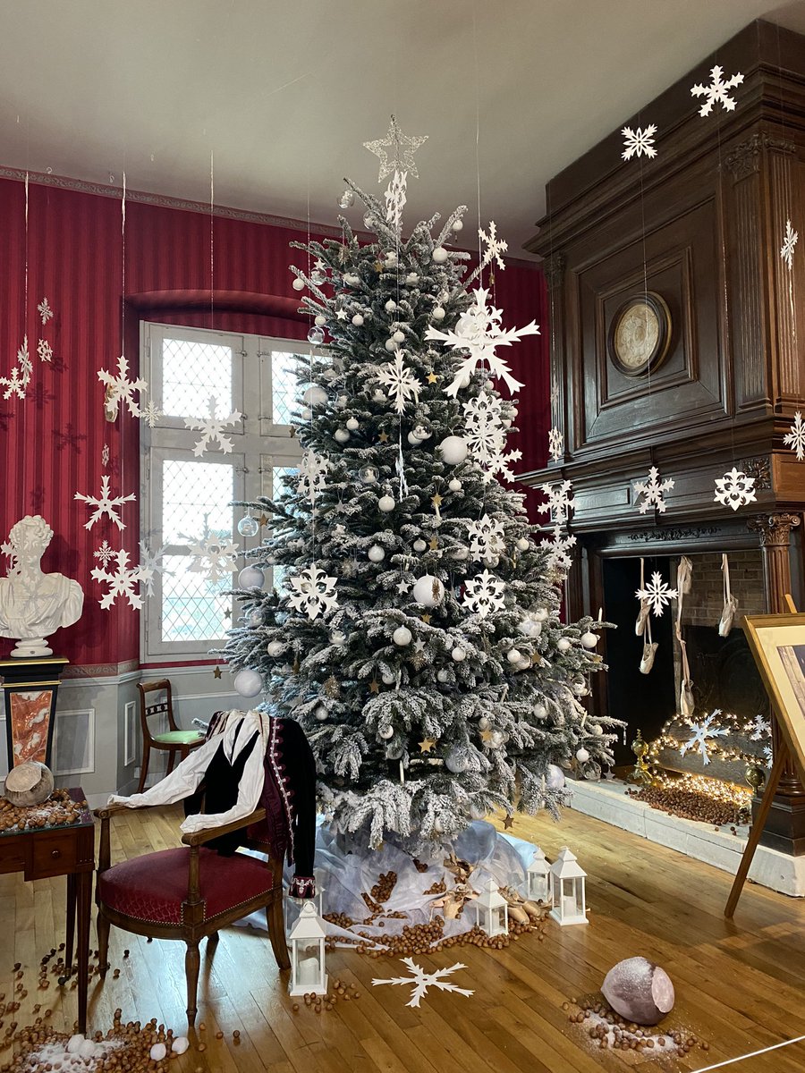 Noël au Pays des Châteaux 🎄🎅🏻 Chenonceau, Amboise et Langeais #ValdeLoire #MagnifiqueFrance