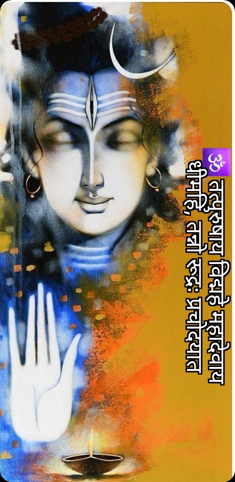 anil_248's tweet image. हर हर महादेव🙏🙏🙏