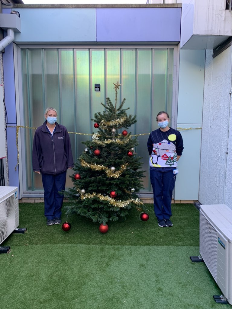 Michelle Tipping tweet media