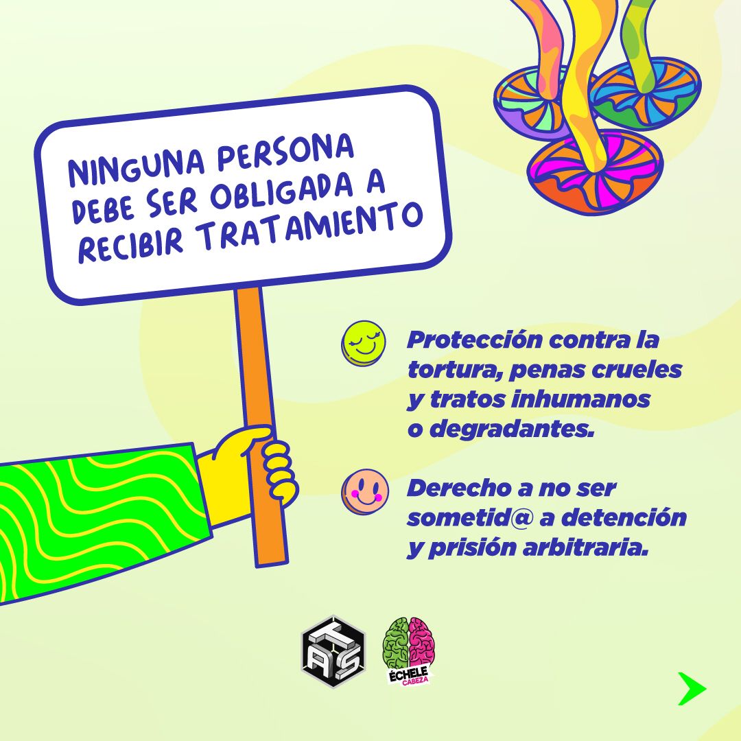 echelecabeza's tweet photo. Hoy en el #DiaDeLosDerechosHumanos ✊🏻 les recordamos los derechos que tienen las personas usuarias de sustancias psicoactivas. 

¡Conózcalos , exíjalos y defiéndalos! 💪🏻 https://t.co/A4bZU4WaVn