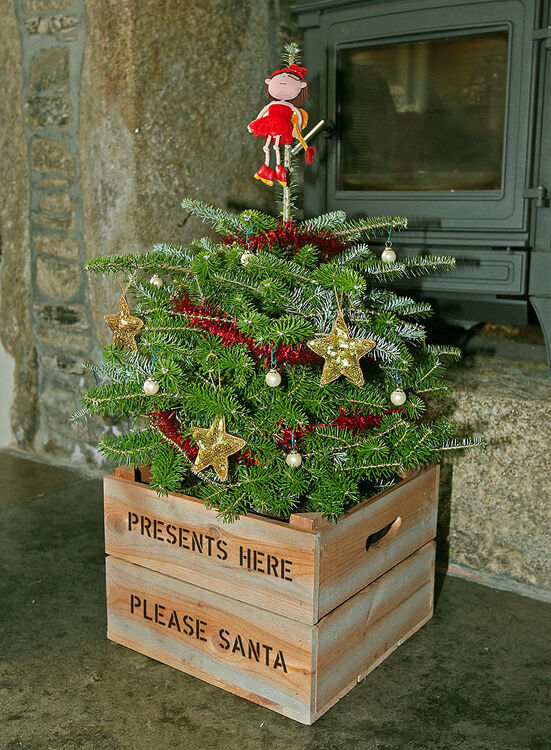 Plantabox's tweet photo. Looking for an alternative Christmas tree stand or skirt for a potted tree? Our Wooden Crate Christmas Tree Stand is the perfect finishing touch to your #Christmas tree 🎄
👉 https://t.co/YCtuFGbfeJ https://t.co/khd6KakJxJ