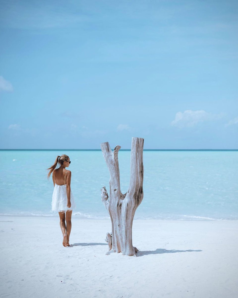 TajMaldives's tweet photo. ♥️♥️♥️ #TajExoticaMaldives
Book now: https://t.co/3G02rdFOOh
#LifeAtMaldives #ExploreWithMaldives #Maldives https://t.co/jCvFdhgrA1