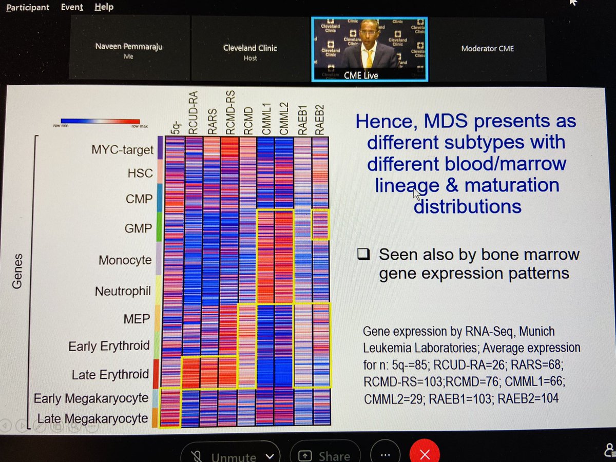 doctorpemm's tweet photo. #ASH21 || Outstanding talk by @Saunthararajah on MDS in our early AM Friday Satellite Symposium @ASH_hematology || @BhumikaPatel_MD @MukherzSudipto @CleClinicMD @aamdsif | #ASHVirtual #ASHybrid #ASHTogether #leusm #BMFSM #MDSsm https://t.co/wUh4VvFnDI