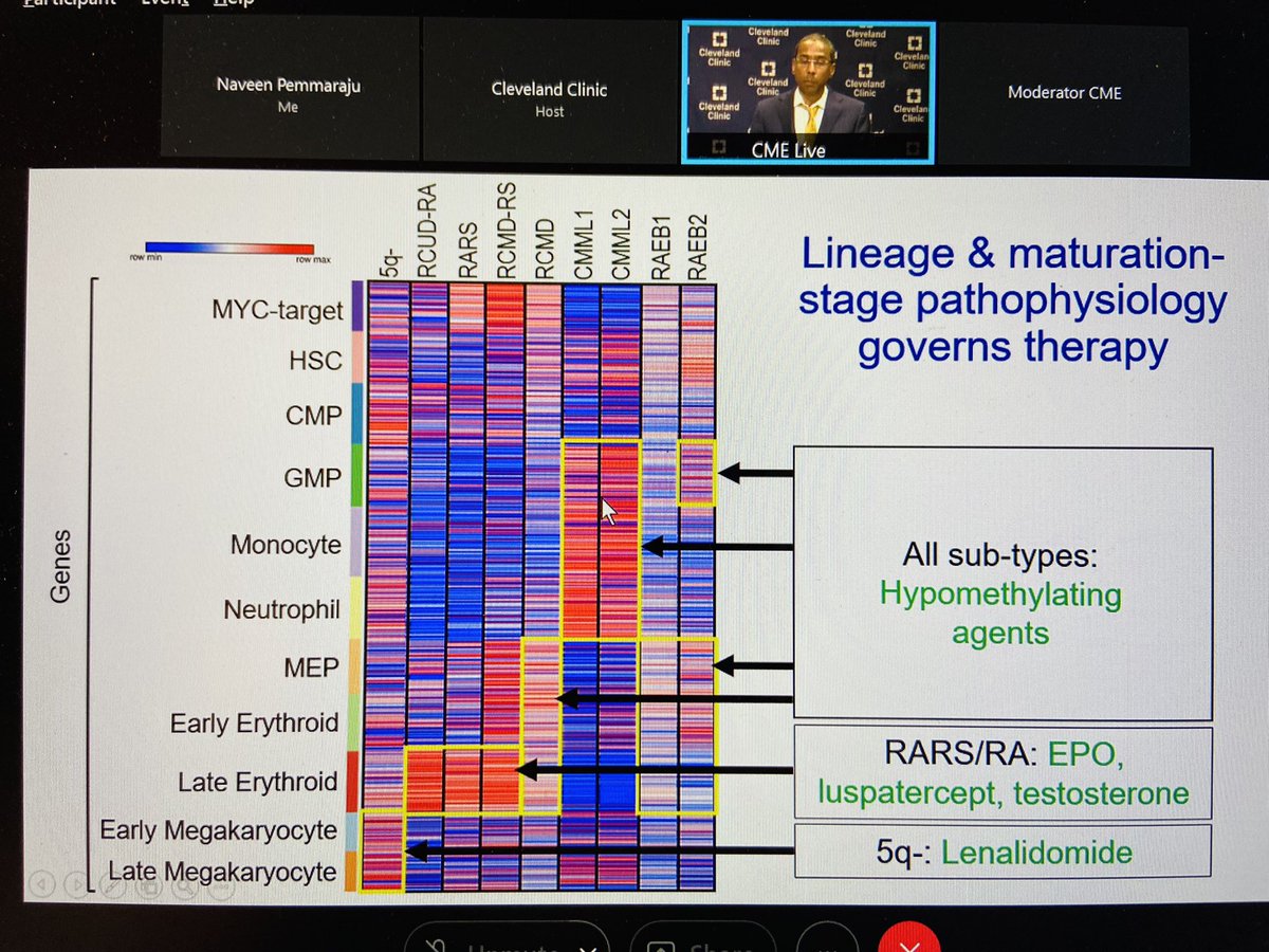 doctorpemm's tweet photo. #ASH21 || Outstanding talk by @Saunthararajah on MDS in our early AM Friday Satellite Symposium @ASH_hematology || @BhumikaPatel_MD @MukherzSudipto @CleClinicMD @aamdsif | #ASHVirtual #ASHybrid #ASHTogether #leusm #BMFSM #MDSsm https://t.co/wUh4VvFnDI