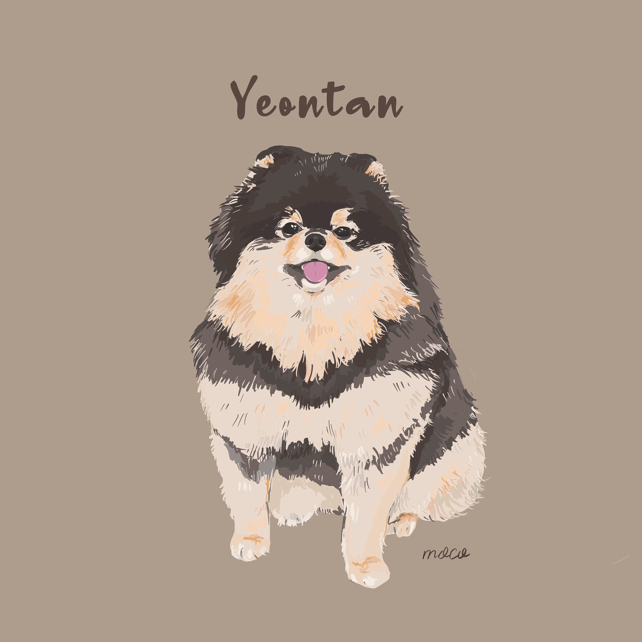 Moco Pa Twitter かわいいヨンタン ペットイラスト Bts ヨンタン V テテ いぬいらすと 犬との暮らし Btsarmy イラスト T Co Qyjerxg0b7 Twitter