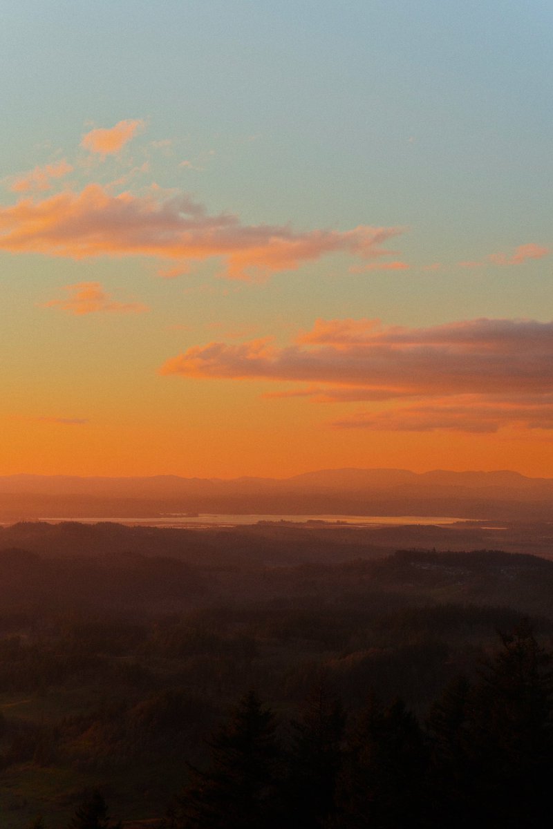 alexxhinson's tweet photo. sundown https://t.co/XVbruOtKRY