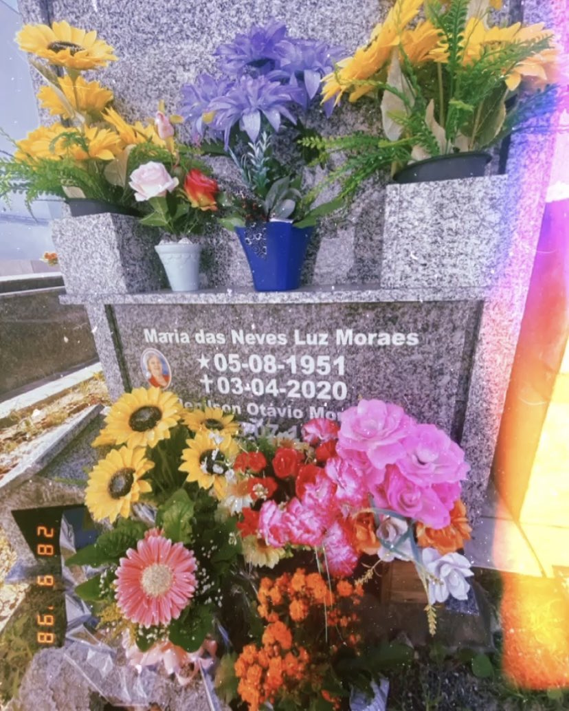 Dhyanara's tweet photo. Seu jardim está florido, como você merece! Que saudade.. 🥺💔 https://t.co/IbTCfpOMUU