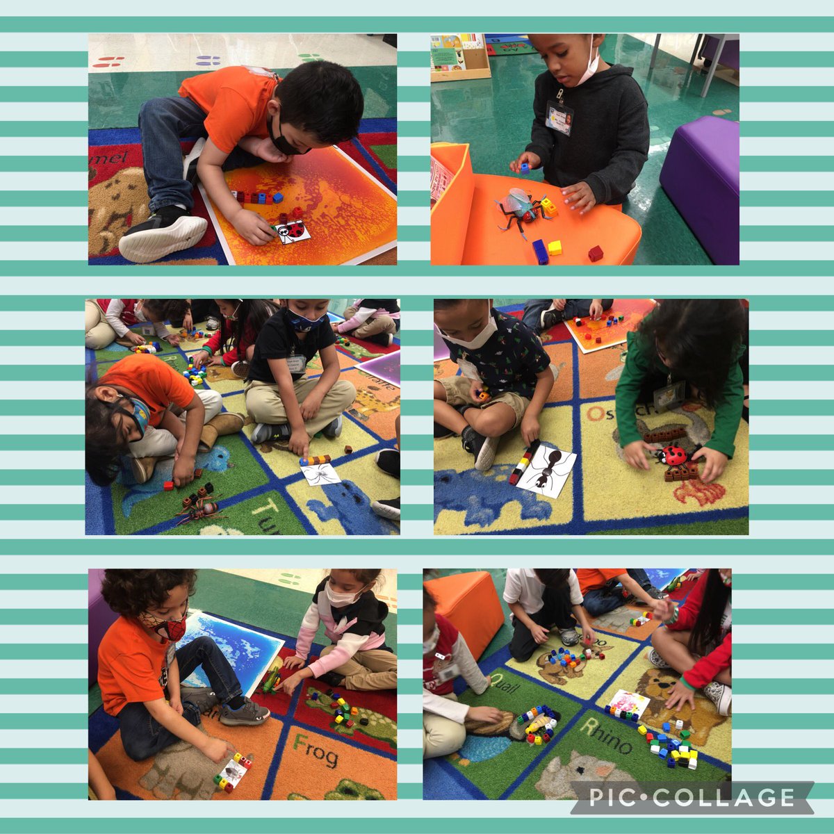 harleygrl80's tweet photo. Measuring insects using unifix cubes for today’s math lesson! @JOSECARDENASECC https://t.co/pmkI8hrze9