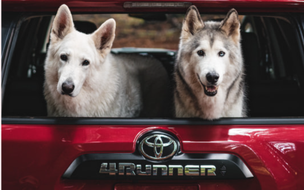 Surprising move is that Toyota is launching an insurance product designed to offer customers customizable coverage at affordable rates. It even has "Toyotally Awesome" loyalty program. read more ... mediapost.com/publications/a…?