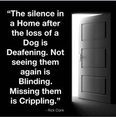 I'd shared this when Blue went OTRB🌈in October and it's worth a retweet,it is still 100% true and sums up a loss perfectly. Sometimes we can feel like we're all alone in our grief but with #dogsoftwitter #CatsOfTwitter we're never alone and the kindness shines thru everyday.