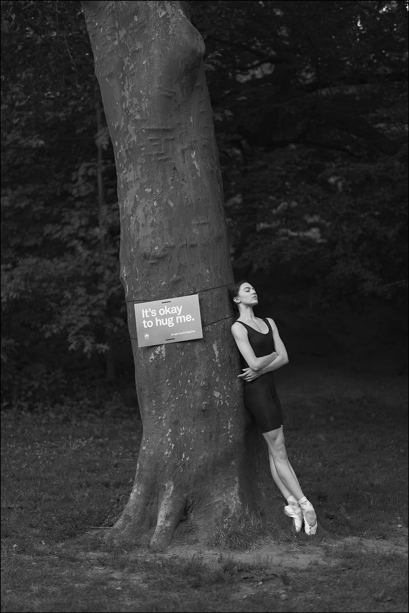 Ballerina Project tweet media