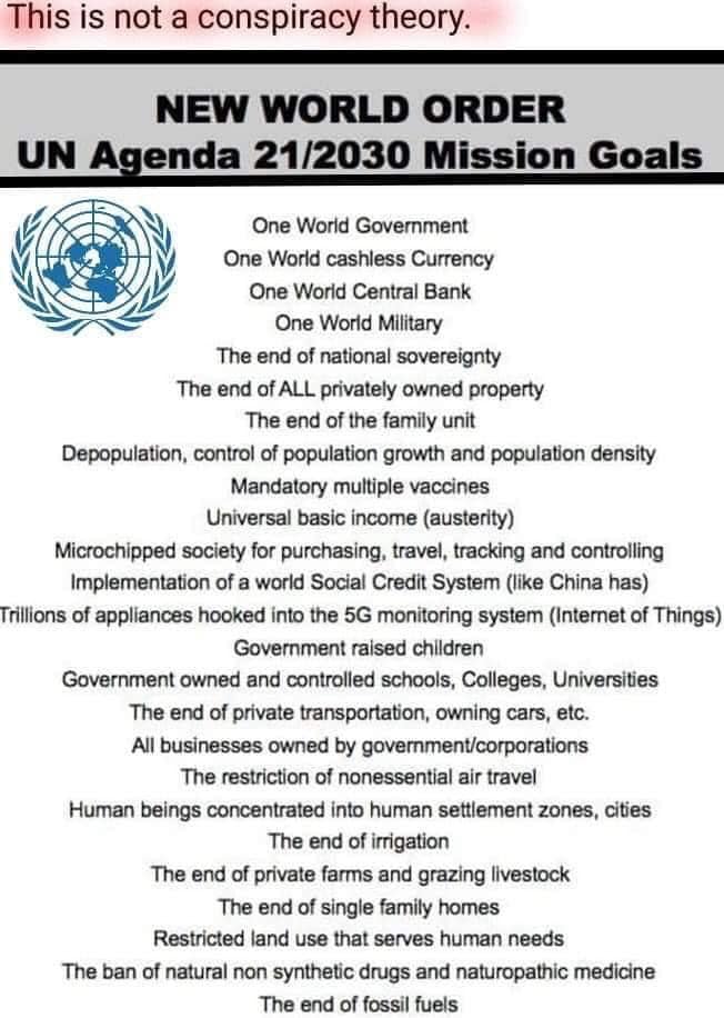 @resistance_sa @Anti_Parasitism destroying family unit is part of agenda 2030