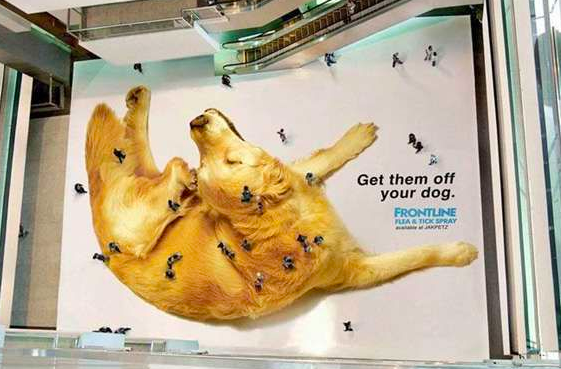 merakethink's tweet photo. Campañas de Street Marketing...
Todo está en la creatividad. 

¿Logras reconocer alguna?

 #Merakethink  #StreetMarketing  #Campañas https://t.co/90zdF1Fwcw