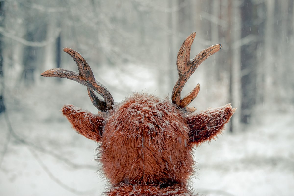 Noweti / Deerweti tweet media