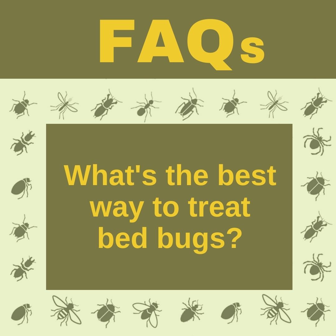 ConvenientPest's tweet image. #Bedbugs hate heat. Targeted heat treatments are administered by our expert #exterminators to stop the issue and prevent spread. bit.ly/2Rklg8v