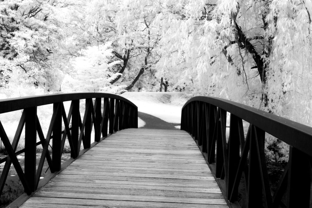 art2chgtheworld's tweet image. Got a person on your nice list who loves black &amp;amp; white the most? Check out the monochromatic works we have available for adoption in our Stand With Artists Project page- they make great holiday gifts! Bring the soul of an artist home #artistsontwitter 
arttochangetheworld.org/stand-with-art…