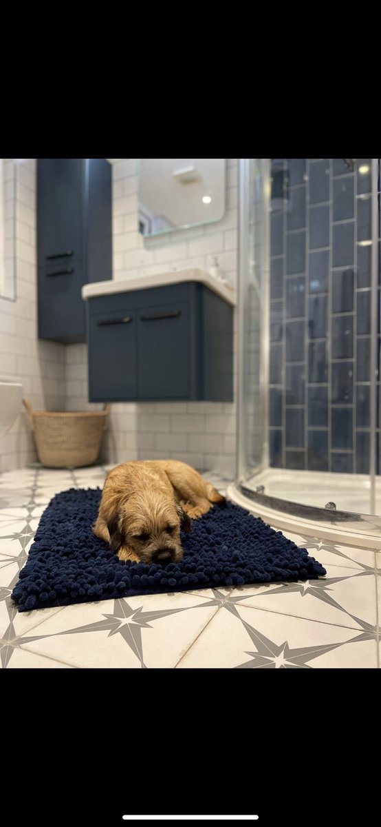Croydon’s Premier Bathroom showroom tweet media