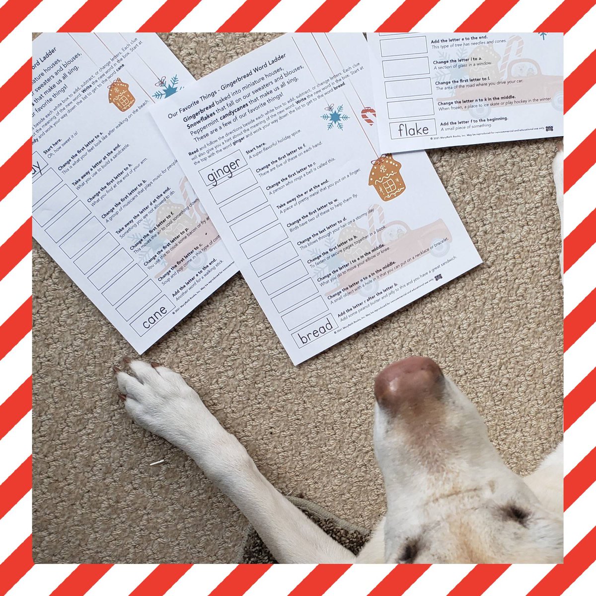 We have some FREE downloadable and printable December activities for you! #classroomactivities #wordladders #theseareafewofourfavoritethings #maryruthbooks
maryruthbooks.com/wp-content/upl…