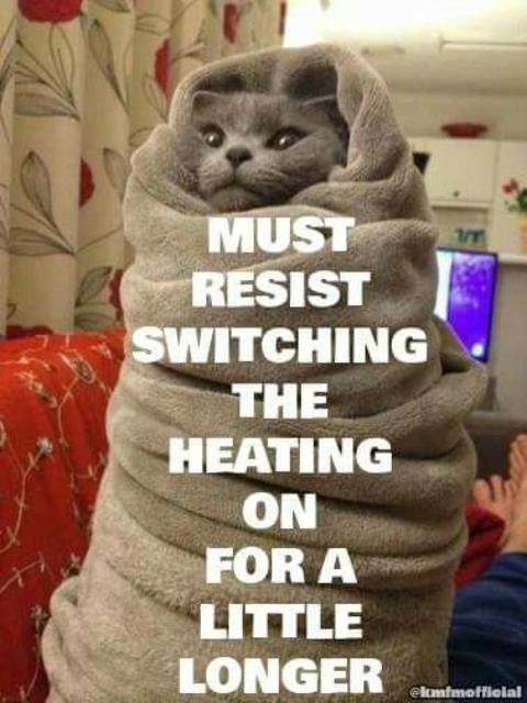 Have you caved yet? 😆

 #heating #HVAC #furnace #winter #heatingandcooling #FridayFunny #fridayfunnies #househumor #housejokes #hvacfunny