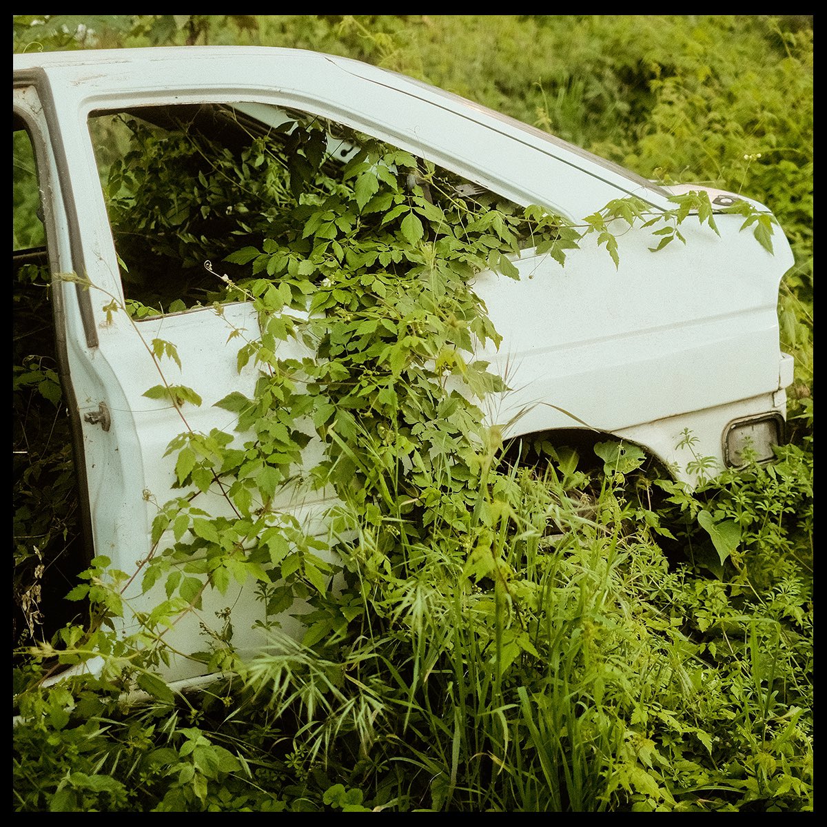 sergioramirezph's tweet image. El pensamiento es efímero; la imagen, absoluta. Precisamente, uno de los pensamientos que más tengo es sobre lo más efímero que hay: el tiempo. Mirar atrás, aprender a cómo recordar, no sólo recordar sin más, reinterpretar el pasado y reenfocar el presente.