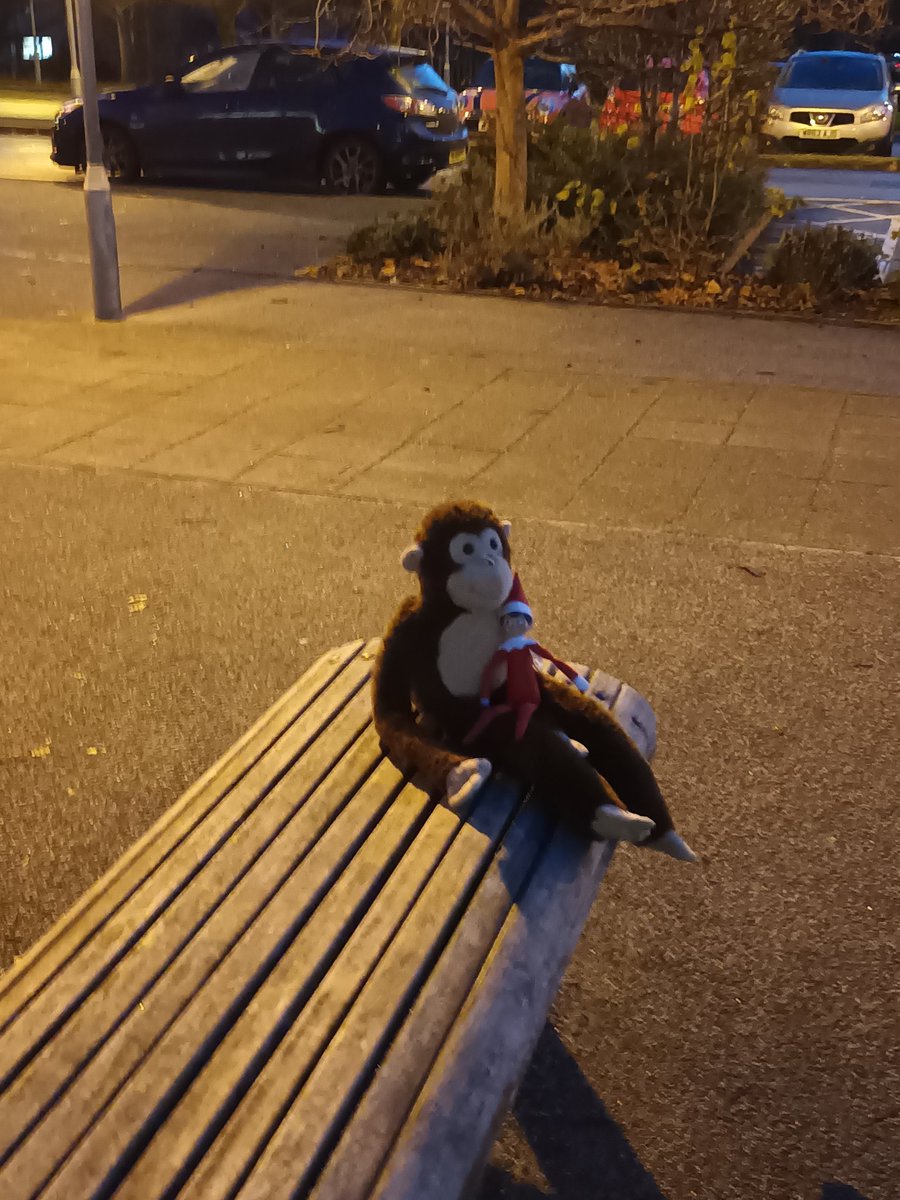 MNicholas tweet media