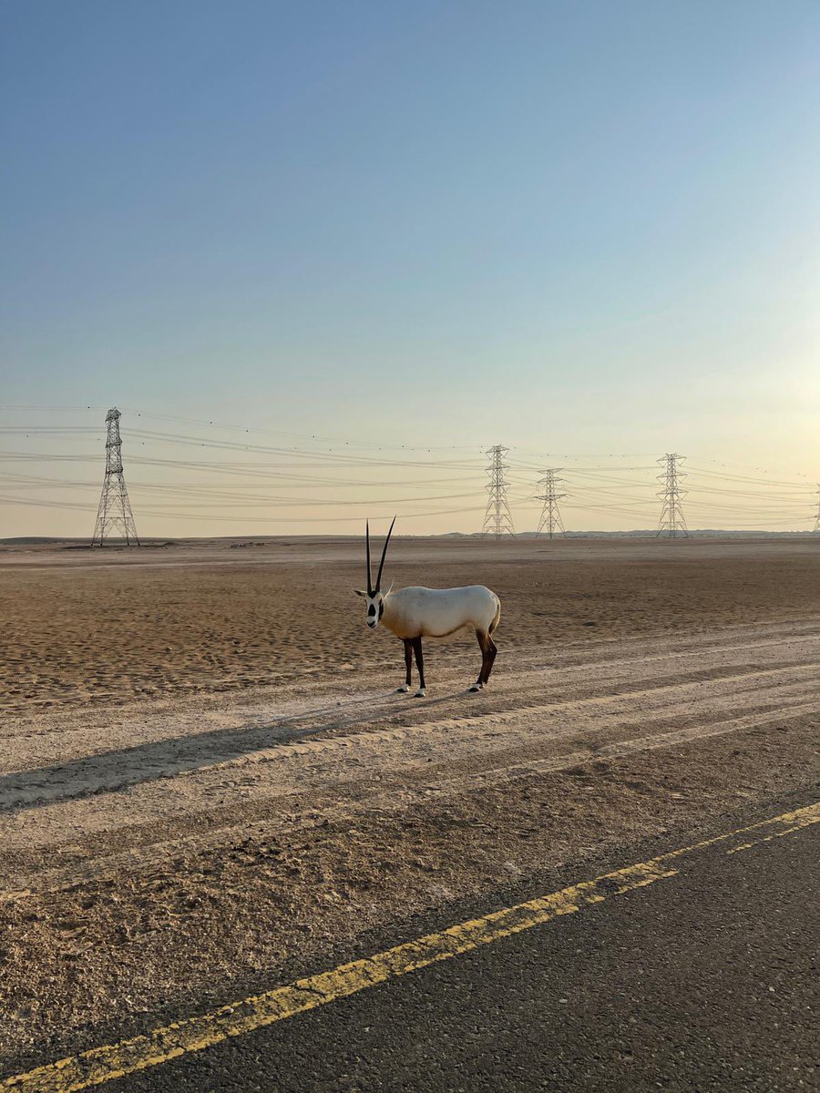 Views from our week in #uae and #oman