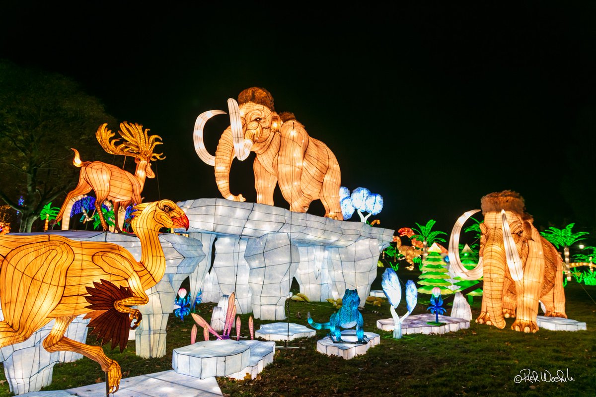 lightshow_NF's tweet photo. NEW GROUPS &amp; PRIVATE EVENTS AT SEASKY INTERNATIONAL LIGHT SHOW!✨ 🤩 ❤️ 
Contact Us: https://t.co/nccdnkRv5u 

@niagarabuzzca 
#NiagaraFalls #ExploreNiagara https://t.co/q5JH6i5sPT