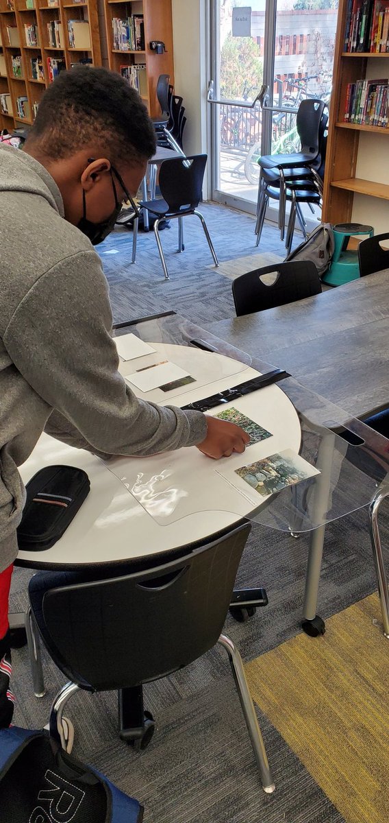 RUSD_MS_Library's tweet photo. Photography class getting ready for their exhibion @CopeMiddleRUSD Eagles come see the final projects next week in the library! https://t.co/HYDOYN4mDX