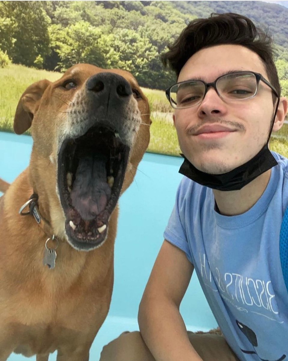 BiscuitsandBath's tweet photo. FEATURE FRIDAY: Regarding your Tribeca Team: Genuinely felt like the team really understands how to deal with dogs :) seems simple but I've had other experiences at other places. - Kevin &amp; Phoenix #biscuitsandbath #doggydaycare #nycdogs #dogs https://t.co/0ILlJywB4l